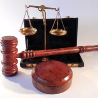 Оренбуржец требует выплатить ему за столкновение с лосем два миллиона рублей