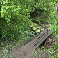 В Оренбургском районе обнаружили тело утонувшего трехлетнего ребенка