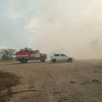 В Беляевском районе из-за ландшафтного пожара введен режим ЧС